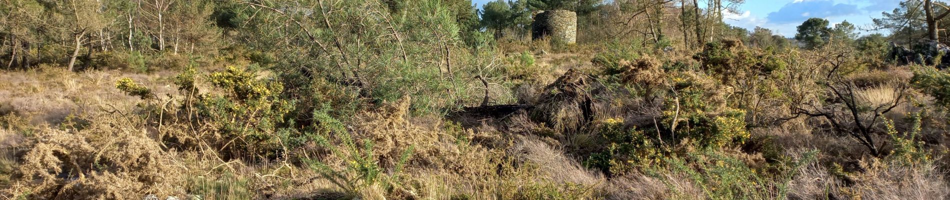 Randonnée Marche Malansac - Les grées en Rochefort en terre - Photo