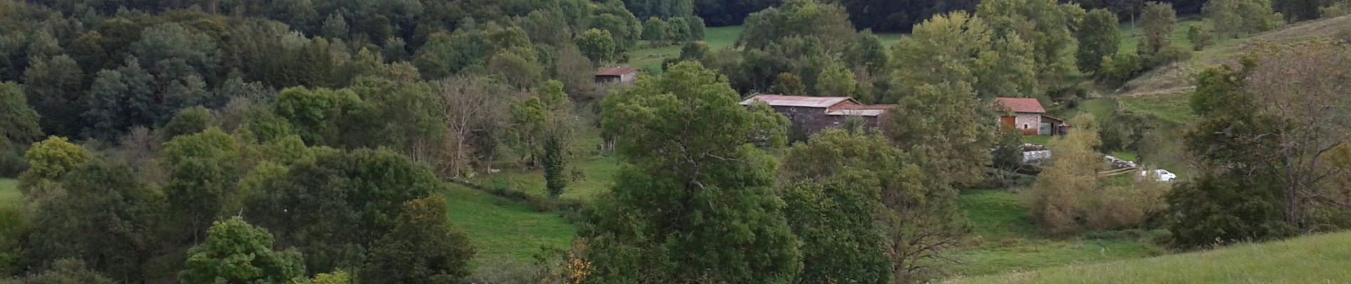 Tocht Stappen Saint-Julien-d'Ance - Bourriane - Photo