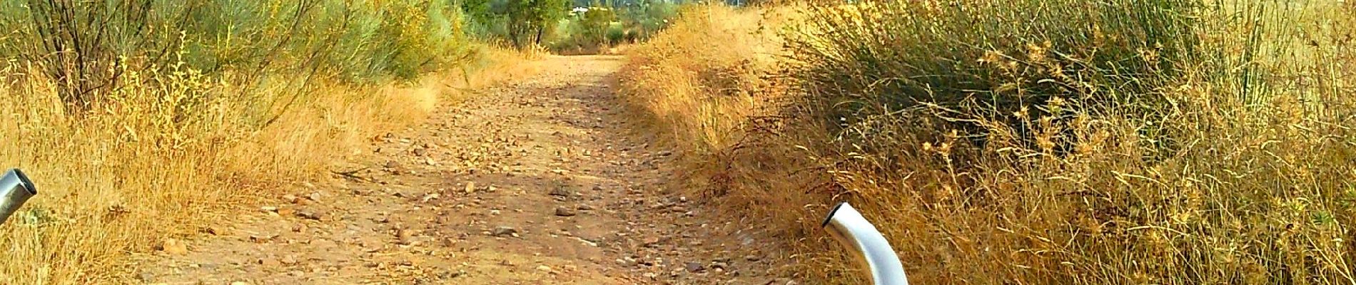 Percorso A piedi Cobeña - Ruta 1: Valle de Abajo y de los medios cerealistas - Photo