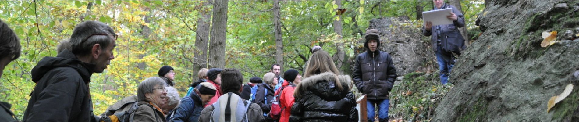 Point d'intérêt Profondeville - Conglomérat de Burnot - Photo