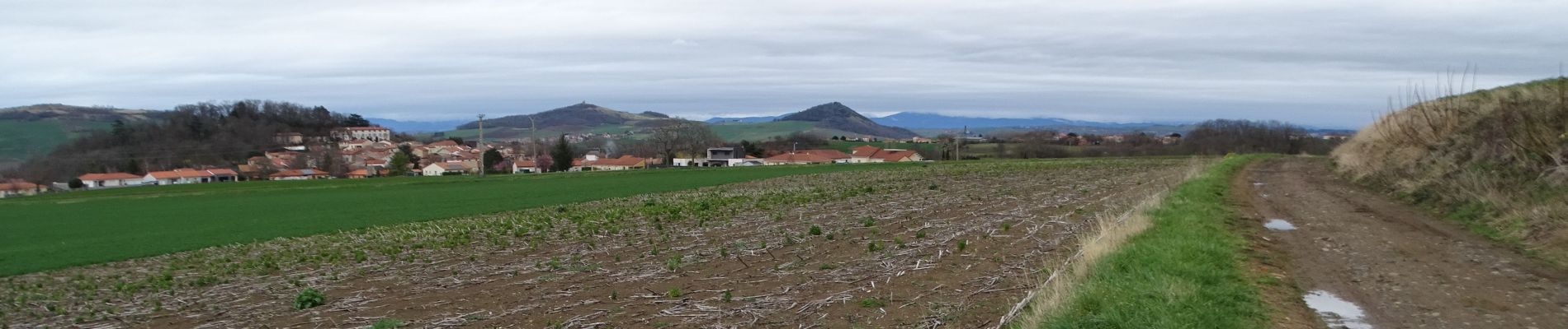 Trail On foot Saint-Georges-sur-Allier - Saint-Georges-sur-Allier - Photo