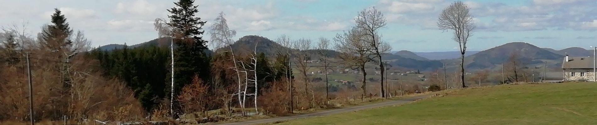 Tocht Stappen Yssingeaux - 43 Yssingeaux 3sucs 9km 300m - Photo