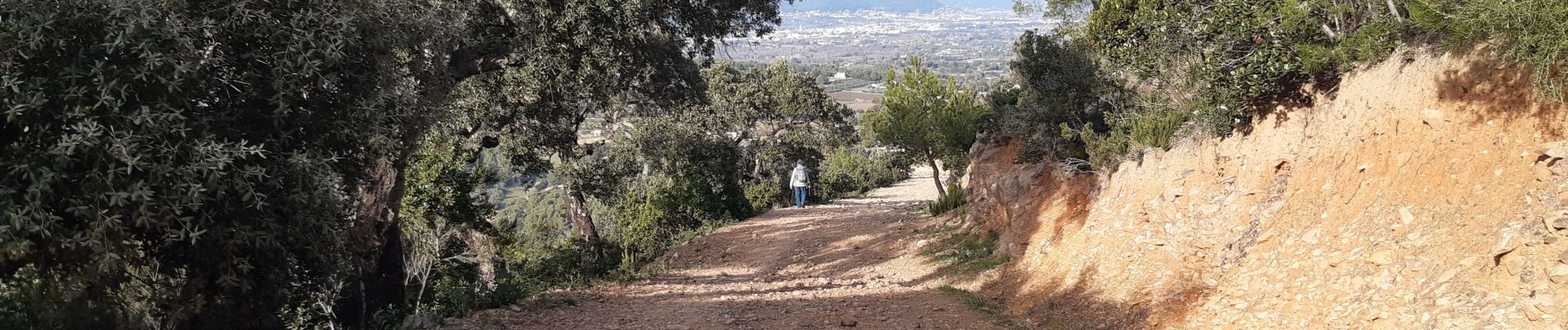 Trail Walking Le Pradet - Vers La Gavaresse - Photo