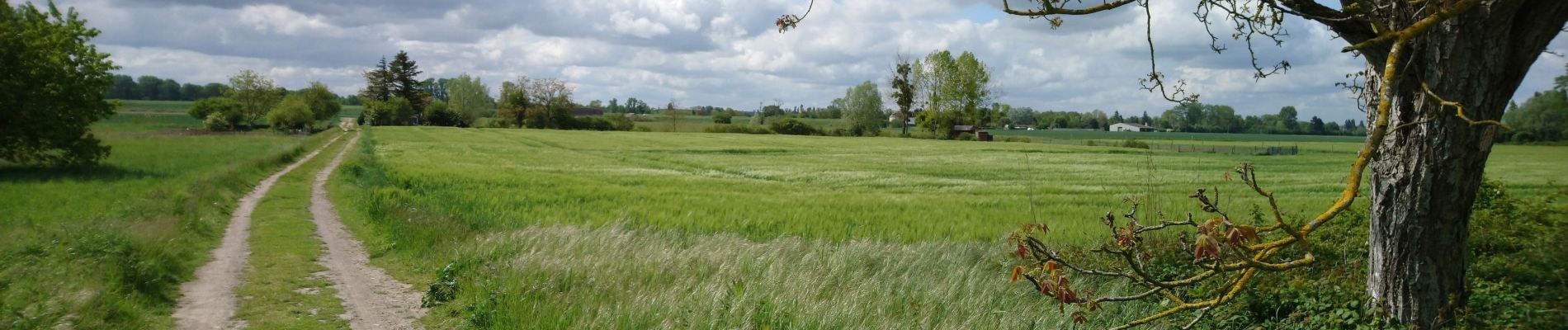 Trail Walking Fondettes - Fondettes - Sentier Aubrière-Gâtine - 9.6km 110m 2h00 - 2019 05 05 - Photo