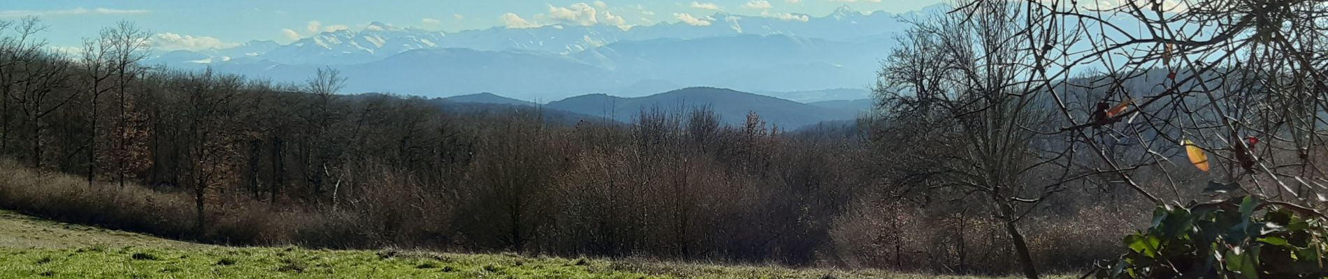 Excursión Senderismo Aurignac - Sentier des 7 collines - Balades et randonnées au Pays de l'Aurignacien - Photo