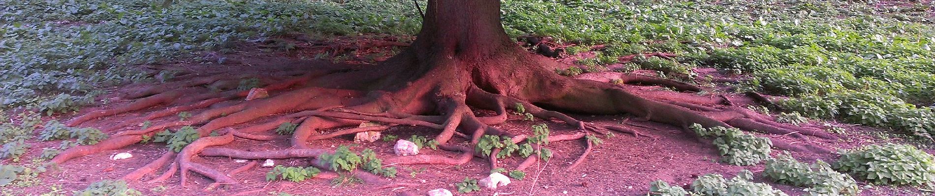 Percorso A piedi Mörnsheim - Rundweg Mörnsheim 2 - Photo