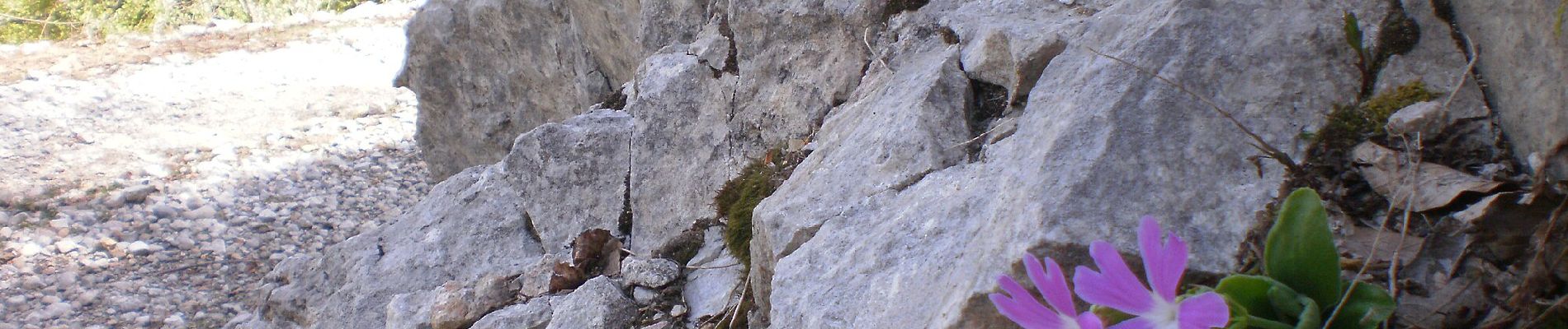 Tour Zu Fuß Unknown - Bunovac - Čičina dolina - Photo