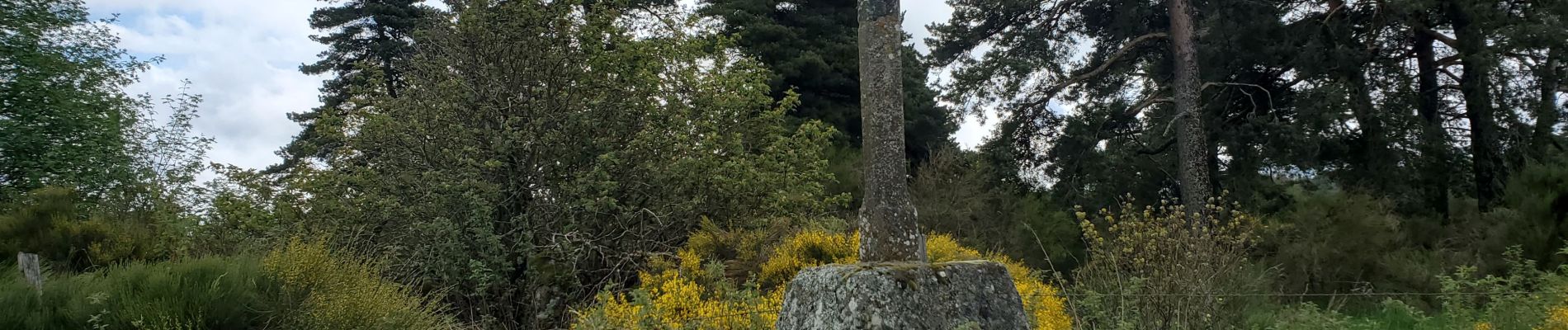 Trail Walking Rocles - la croix Blanche - Photo