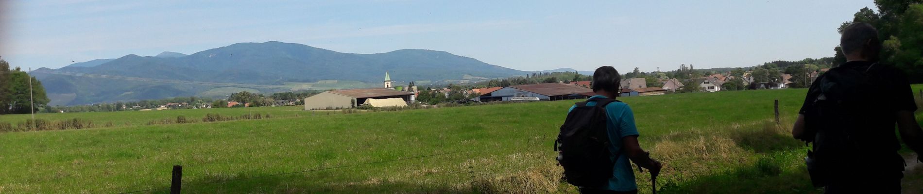 Tocht Stappen Heimsbrunn - 19.07.03.Heimsbrunn Michelbach  - Photo