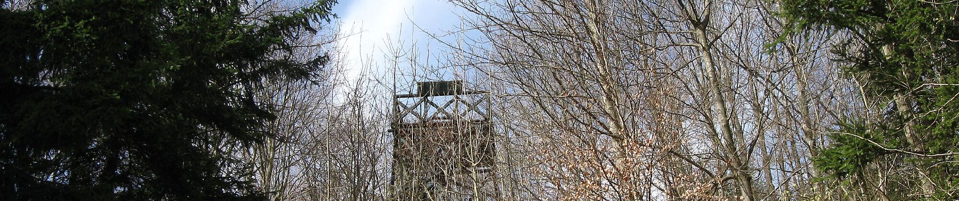 Tour Zu Fuß Srnín - Naučná stezka Granátník - Photo