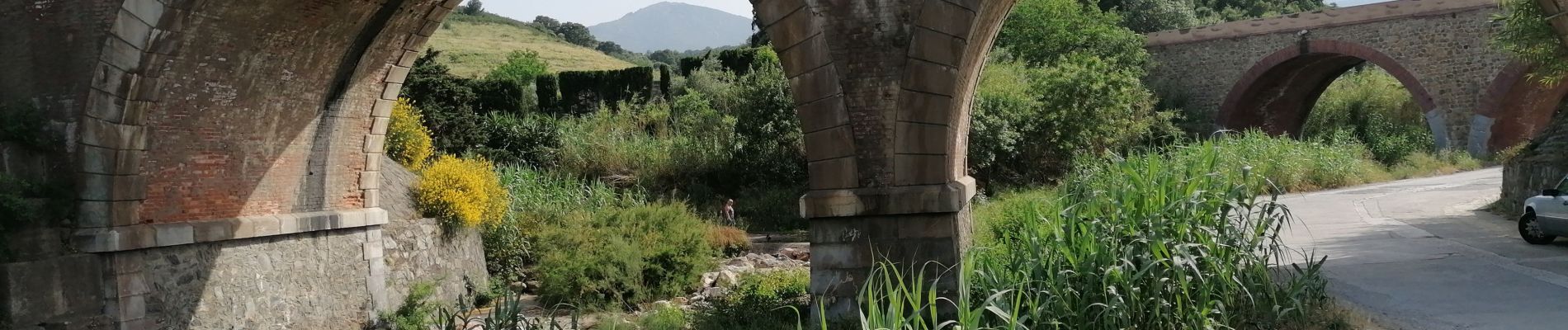 Excursión Senderismo Argelès-sur-Mer - plage des ouilles - Photo