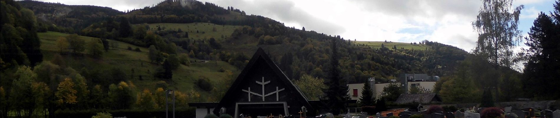 Excursión A pie Schönau im Schwarzwald - Urwaldpfad - Photo