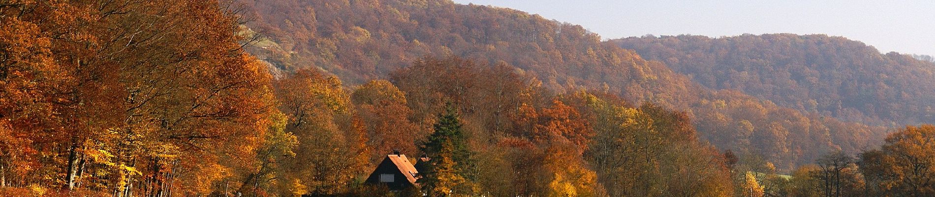 Tocht Te voet Sternenfels - Königs-Route Walk & Wein Krauchgau-Stromberg - Photo