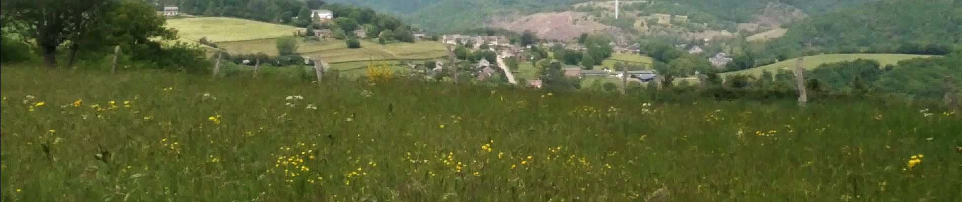 Percorso A piedi Trooz - Les hauteurs de Fraipont (Trooz) - Photo