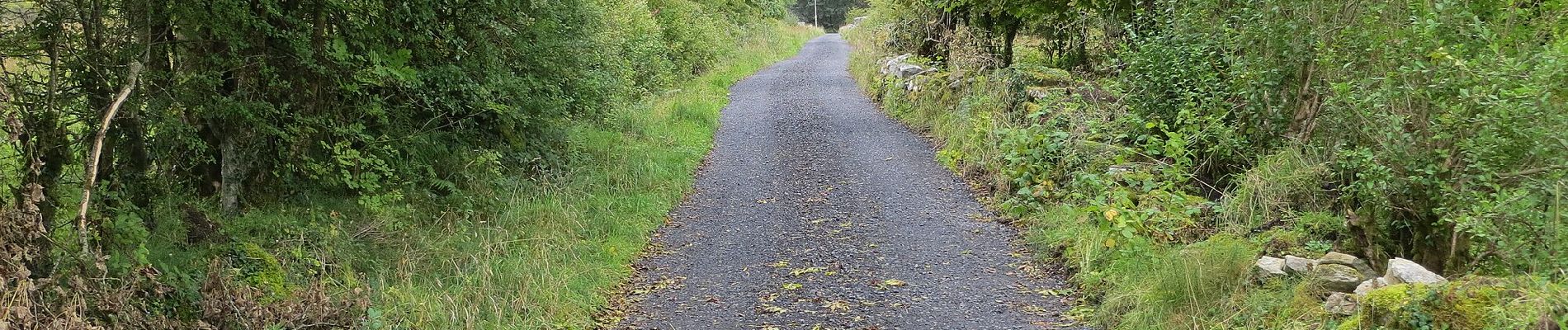 Trail On foot Roscommon Municipal District - Clogher - Photo