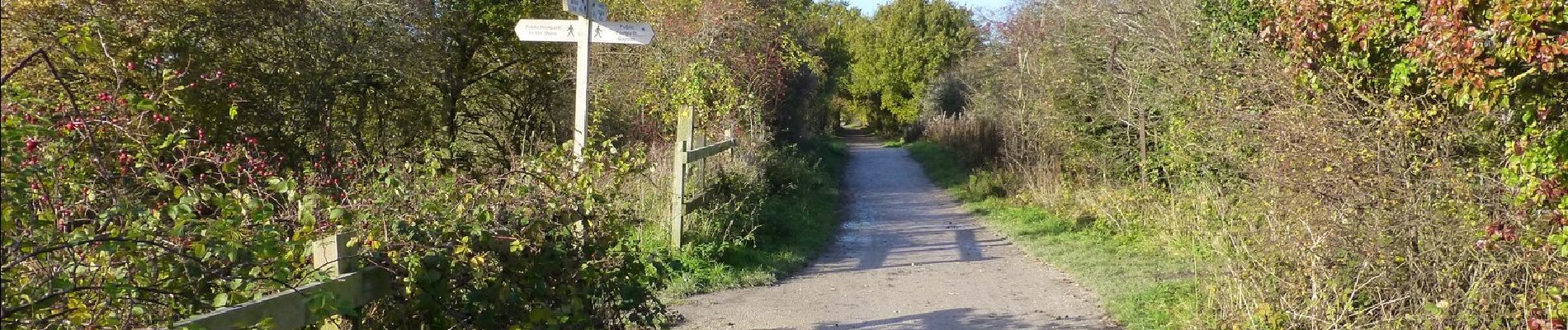 Trail On foot Wirral - Parkgate Walk - Photo