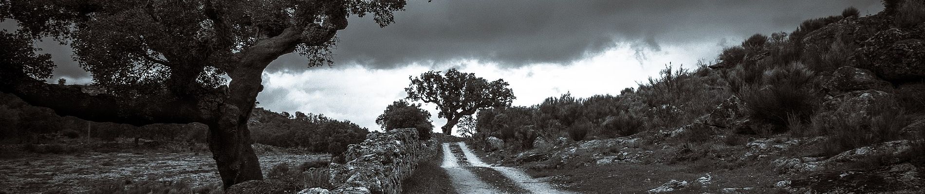 Percorso A piedi Santa Maria de Marvão - Percurso Pedestre dos Galegos - Photo