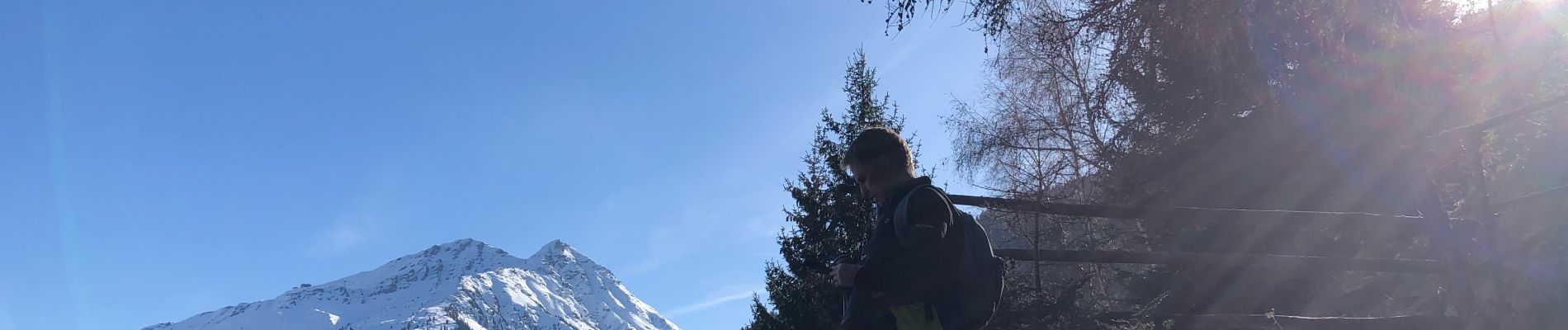 Tocht Stappen Anniviers - Grimentz Parcours de la Montagnetta (PVDB) - Photo