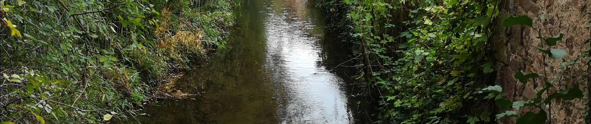 Tour Wandern Altdorf - sentier des bornes - Photo