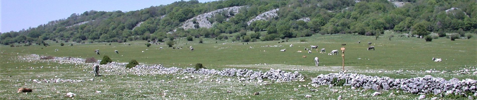 Tocht Te voet Roccagiovine - Via dei Lupi - Tappa 2: San Polo dei Cavalieri - Licenza - Photo