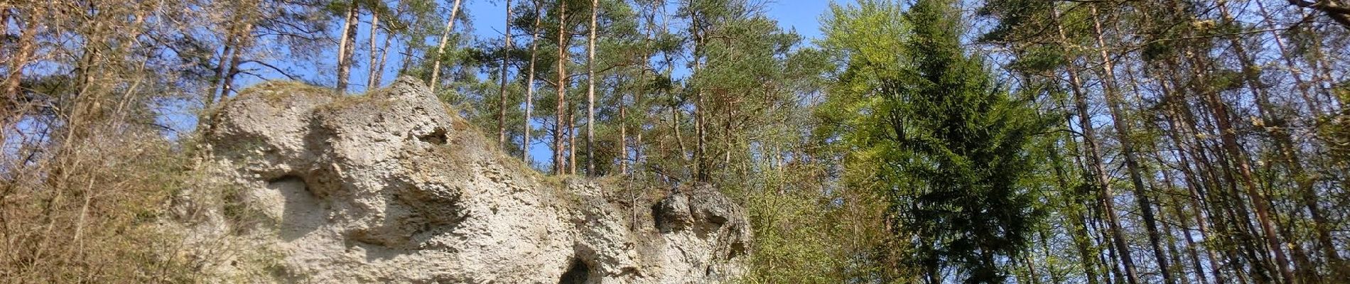 Randonnée A pied Pottenstein - Rundweg Püttlach - Photo