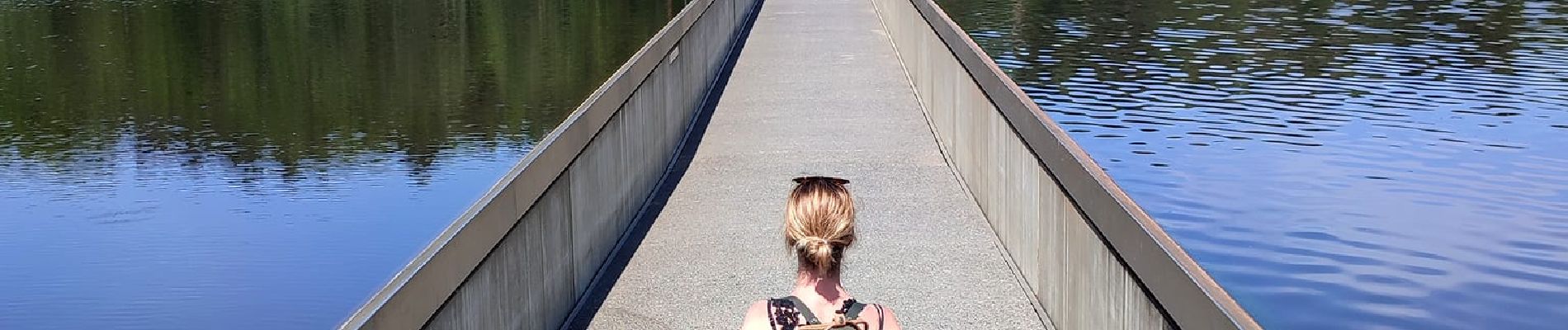 Randonnée Marche Genk - Promenade vers la piste dans l'eau, dans le magnifique domaine de Bokrijk  - Photo