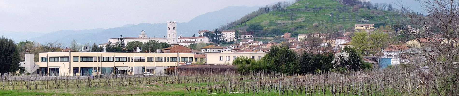 Tour Zu Fuß Lucca - Variante Nord Via Francigena - Photo