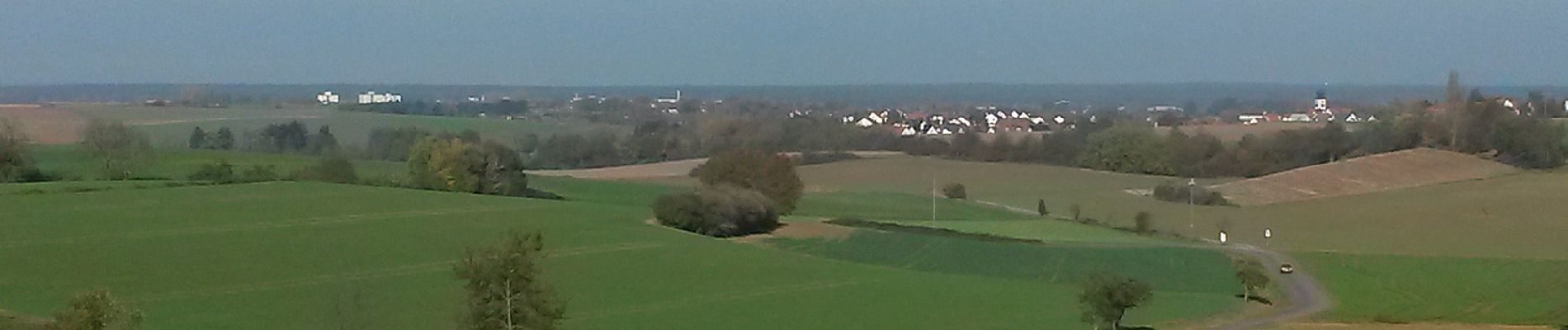 Percorso A piedi Großostheim - Rundwanderweg Großostheim Sausteige 3: Mutter-Gottes-Buchen-Weg - Photo