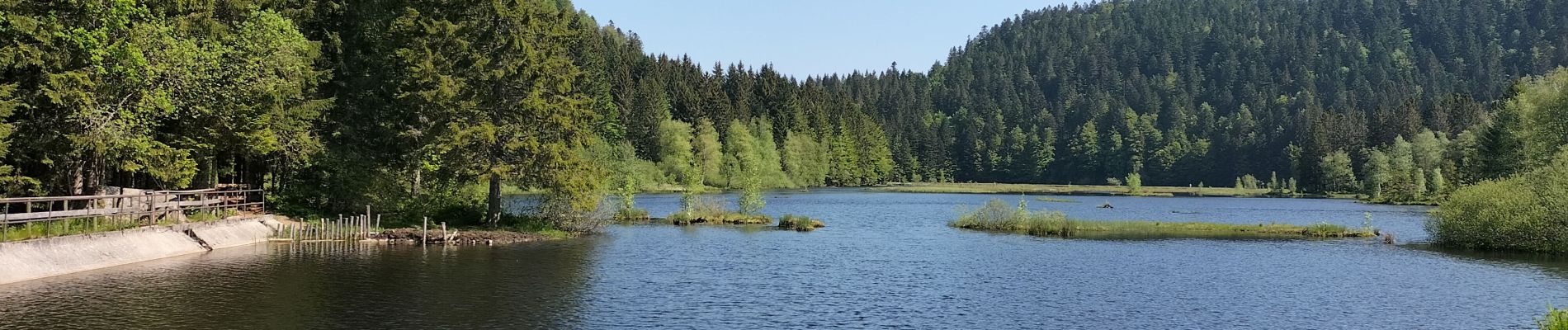 Randonnée Marche La Bresse - lacs et tourbières de Tenine et Lispach  - Photo