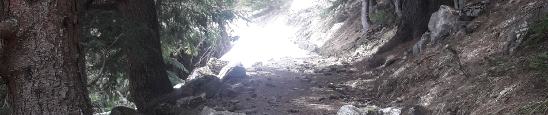 Tour Wandern Modane - Loutraz Amodon refuge de Doran Orgère - Photo