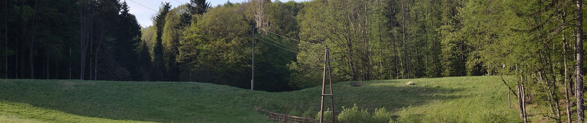 Tocht Te voet Altlengbach - Altlengbach Rundwanderweg 1 - Photo