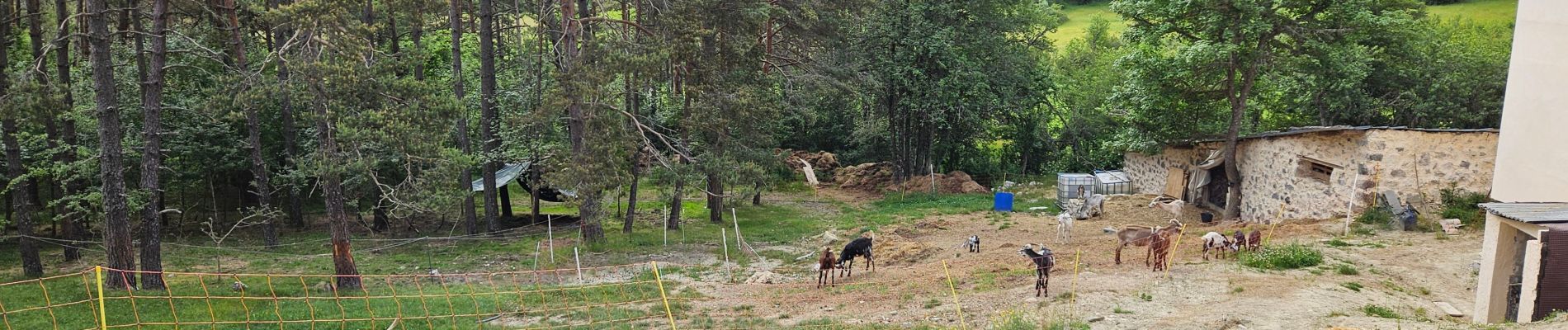 Tocht Stappen Andon - L'Audibergue du Pont du Loup - Photo