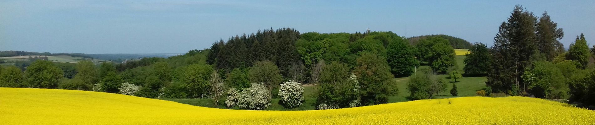 Randonnée Marche Durbuy - Palenge - Durbuy - Photo