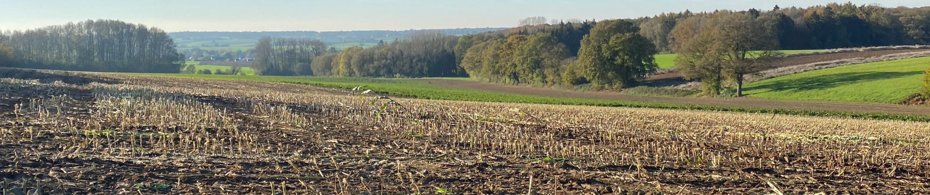 Randonnée Marche Gerpinnes - Étang du ban à l’automne  - Photo