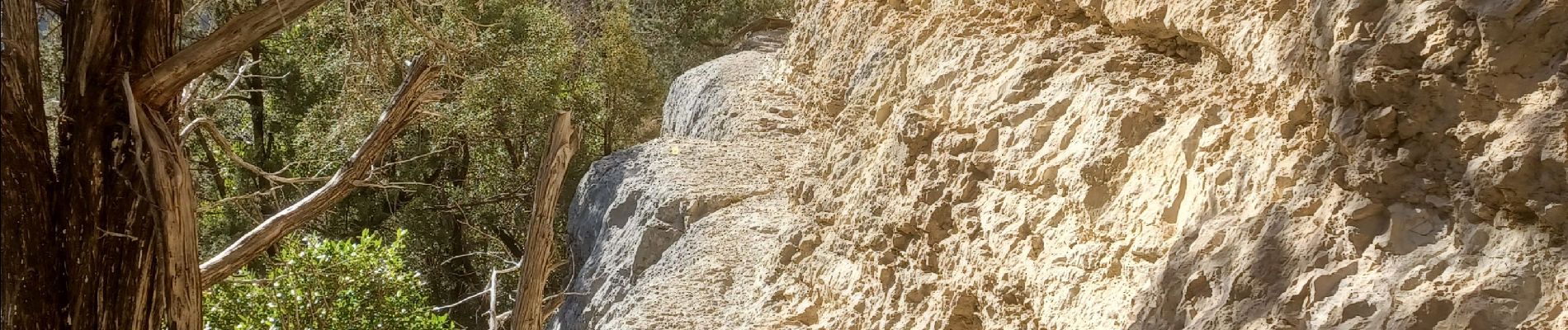 Tocht Stappen La Palud-sur-Verdon - Verdon - Sentier du Bastidon A/R (partiel) - Photo