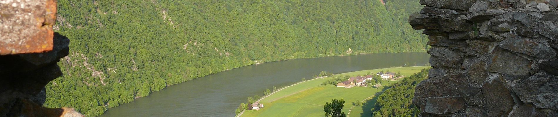 Randonnée A pied Niederkappel - Donauschlingenweg - Photo