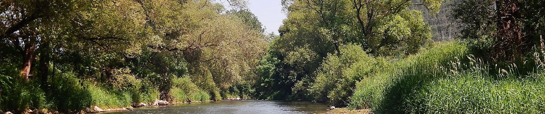 Tocht Te voet Horb am Neckar - Äußerer Alternativweg - Horb am Neckar - Weg-3 - Mühringen - Isenburg - Photo