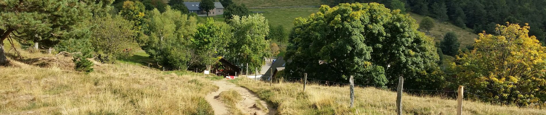 Tocht Mountainbike Orbey - Orbey - Labaroche - Col du Wettstein - Photo