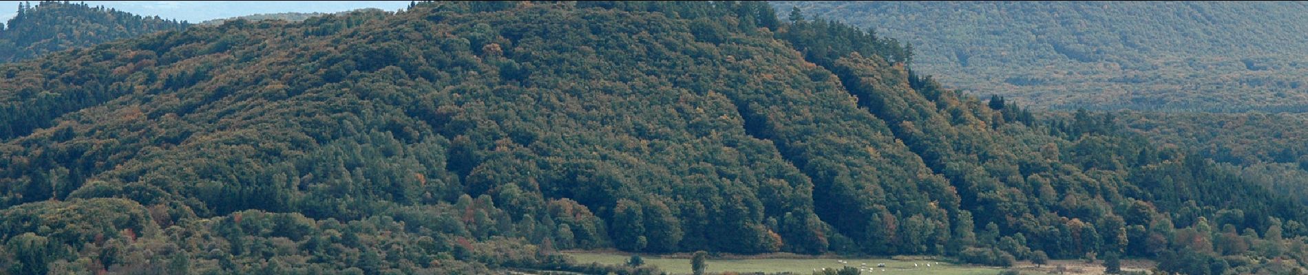 Tour Wandern Charbonnières-les-Varennes - À travers champs  - Photo