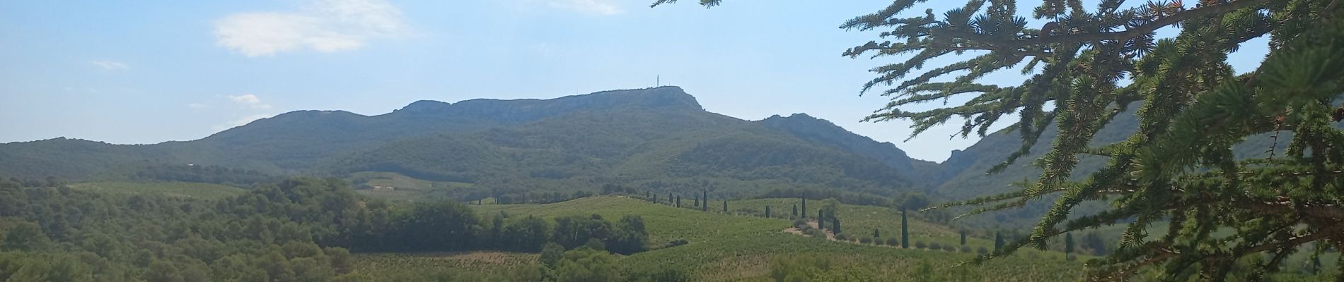 Randonnée Marche Séguret - Seguret Sablet par le Cheval Long - Photo