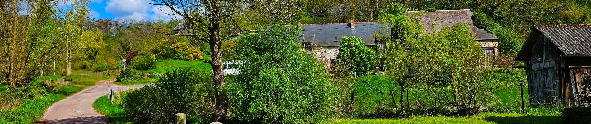 Randonnée Marche Thuin - Balade dans le Bois du Grand Bon Dieu-Thuin - Photo