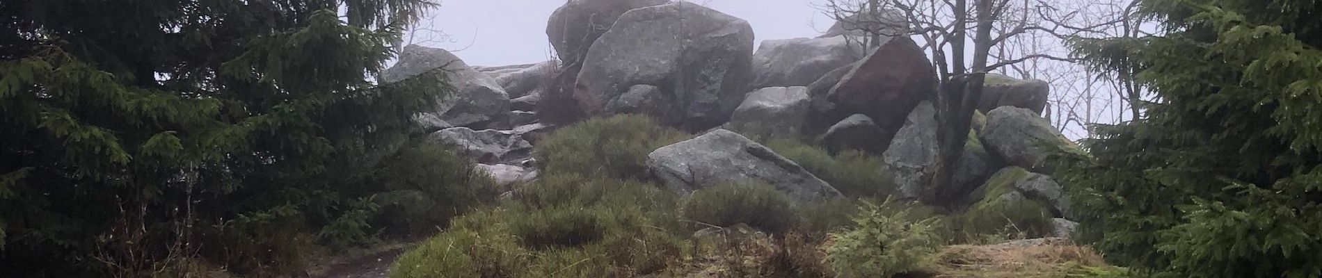 Tocht Te voet Wernigerode - HK 9: Clausthal - Sonnenberg - Brocken - Ilsenburg - Photo