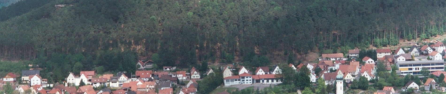 Tocht Te voet Bruchweiler-Bärenbach - Bären-Steig - Photo