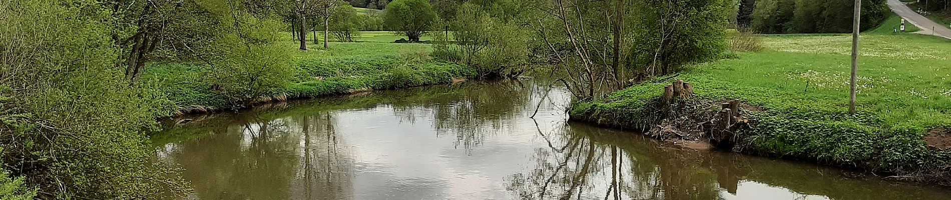 Tour Zu Fuß Gaildorf - Schwäbischer Albverein Gaildorf - Blauer Punkt - Photo