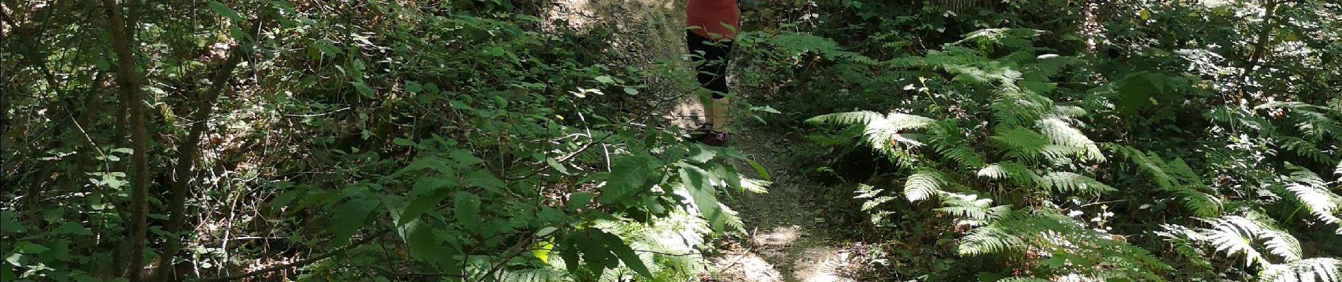 Randonnée Marche Vendôme - bois oratoire - Photo