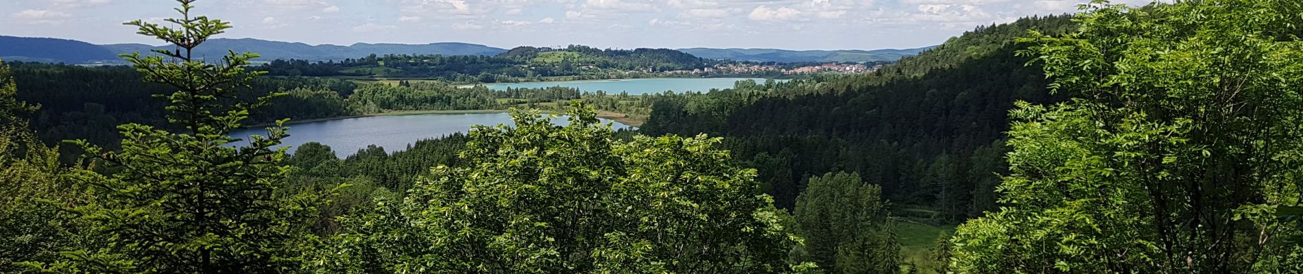 Randonnée Marche Clairvaux-les-Lacs - Clairvaux les Lacs 20190616 - Photo