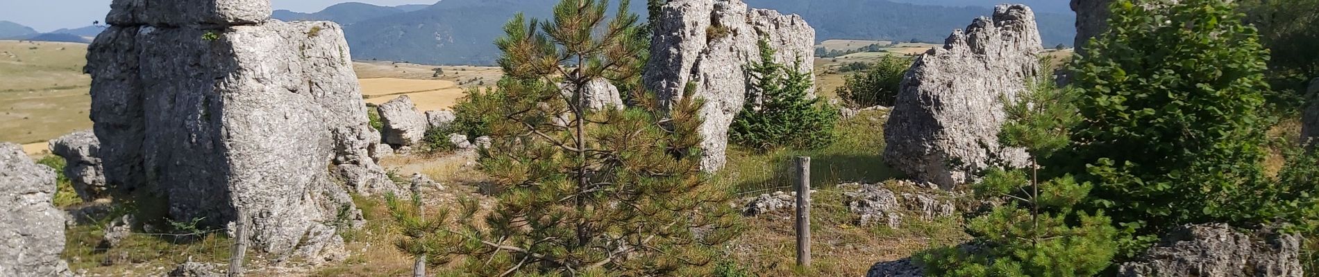 Trail Walking Fraissinet-de-Fourques - Boucle Nîmes le Vieux  - Photo