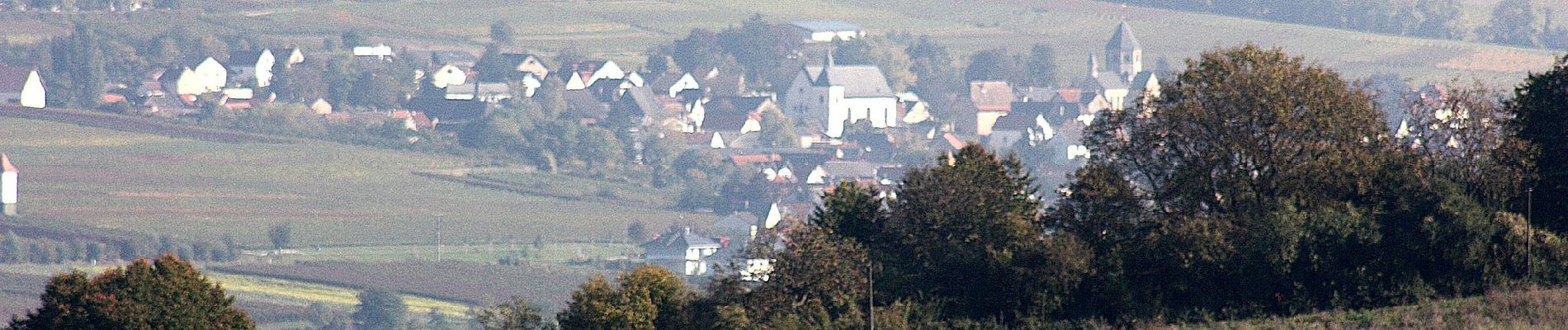 Tour Zu Fuß Gau-Algesheim - Hiwweltour Bismarckturm - Photo