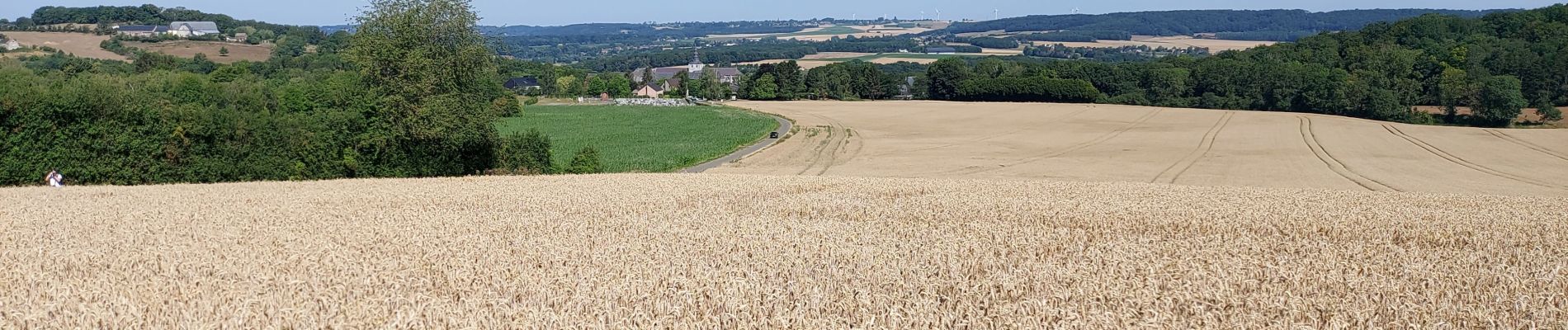 Tour Wandern Floreffe - FLOREFFE _ Marche Adeps  _ NA _ 24/07/2023PP - Photo