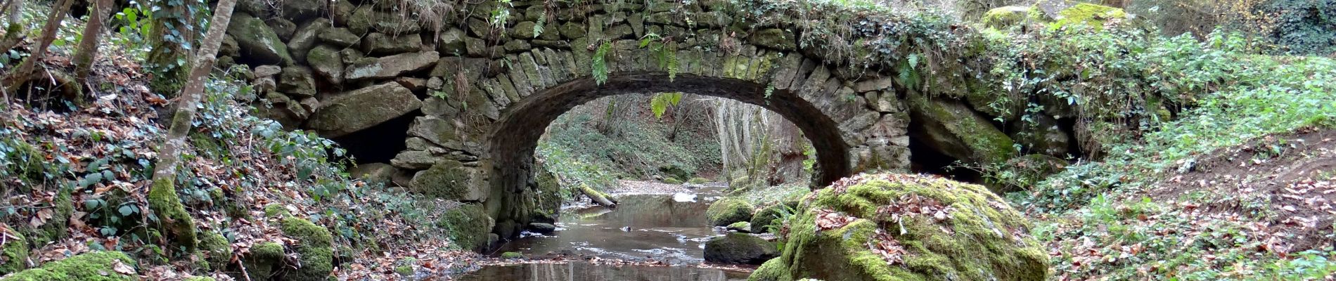 Tour Wandern Égliseneuve-près-Billom - Egliseneuve_Madet - Photo